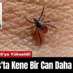 Antalya Traffic Accidents