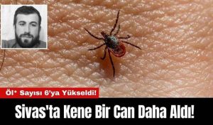 Kamyon Kazası Akseki