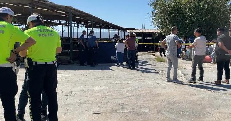 Aydın süt kamyonu kazası: Tragic accident claims 3-year-old’s life